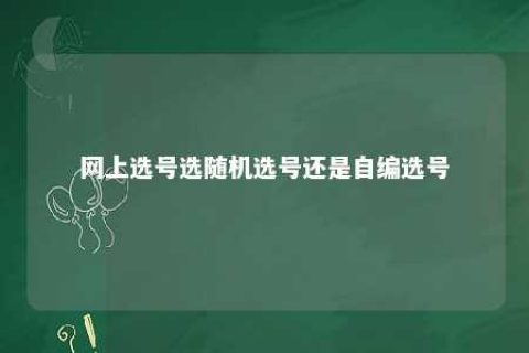 网上选号选随机选号照旧自编选号