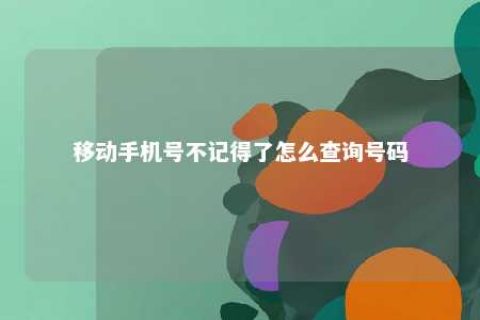 移下手机号不记得了怎么盘问号码